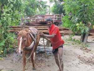 ছবি : উত্তরের আলো